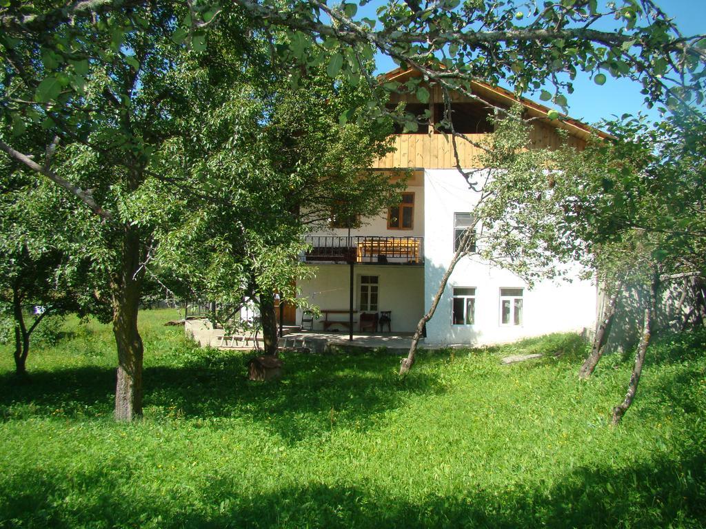 Guest House Tavaduri ميستيا المظهر الخارجي الصورة