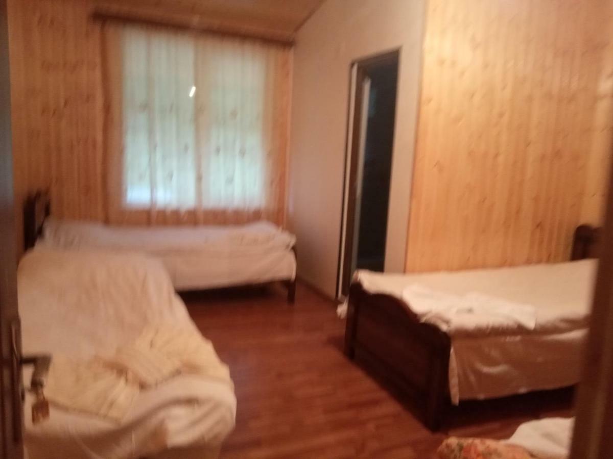 Guest House Tavaduri ميستيا المظهر الخارجي الصورة