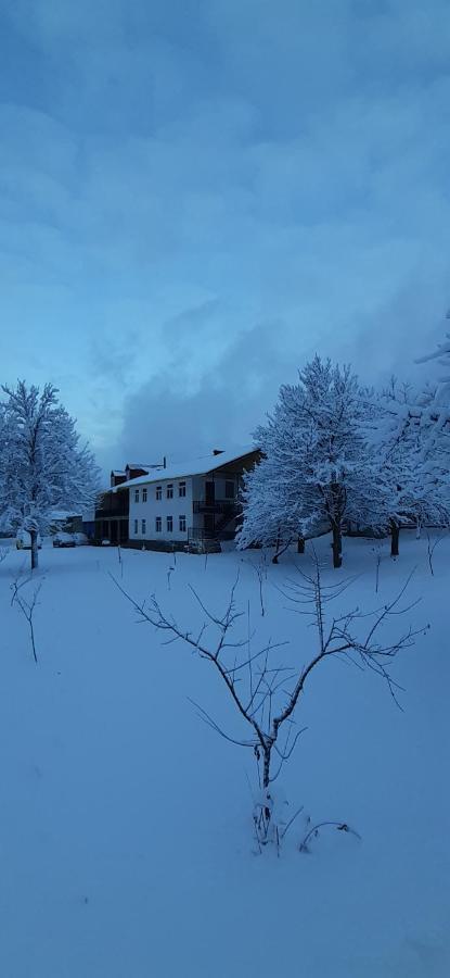 Guest House Tavaduri ميستيا المظهر الخارجي الصورة